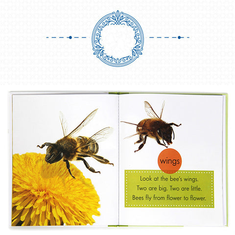 Children's popular science English primer - VerdeLux Cosmetics 