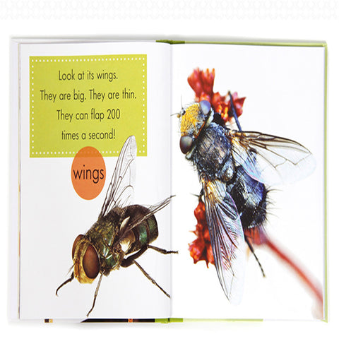 Children's popular science English primer - VerdeLux Cosmetics 