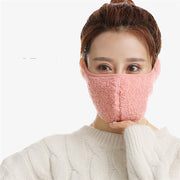 Anti-dust full face mask