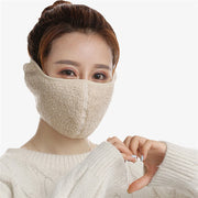 Anti-dust full face mask