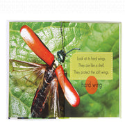 Children's popular science English primer - VerdeLux Cosmetics 