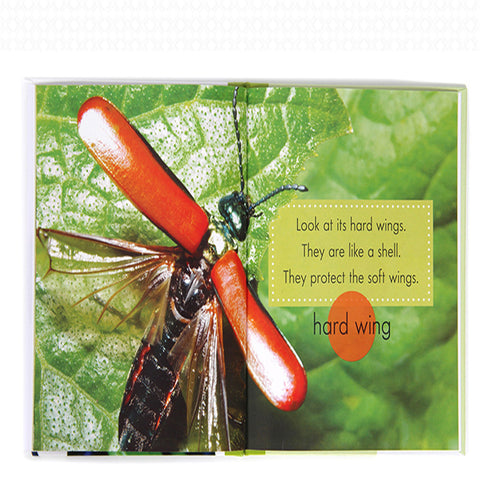 Children's popular science English primer - VerdeLux Cosmetics 