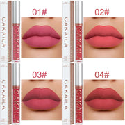 Sexy Long Lasting Velvet Matte Lip Gloss Liquid Lipstick Lip Makeup Women Beauty Red Nonstick Cup Waterproof Lip Gloss - VerdeLux Cosmetics 